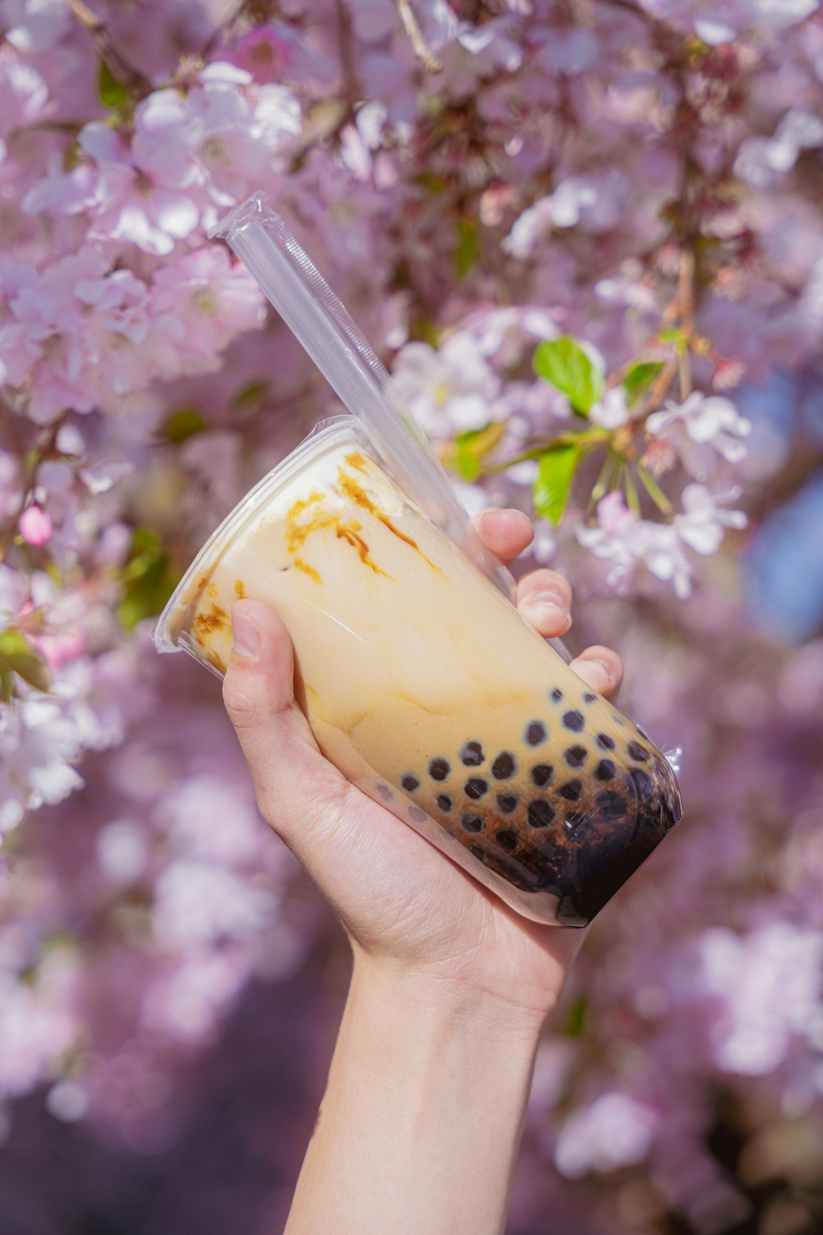Çiçək açmış ağacın fonunda əldə tutulan bubble tea